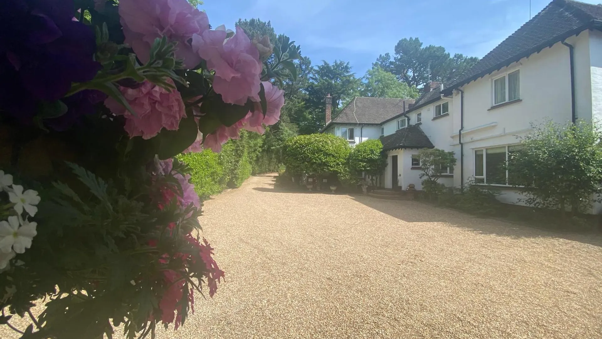 New Forest Country Home With Hot Tub And Open Fire Ringwood United Kingdom